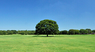 昭和記念公園 様