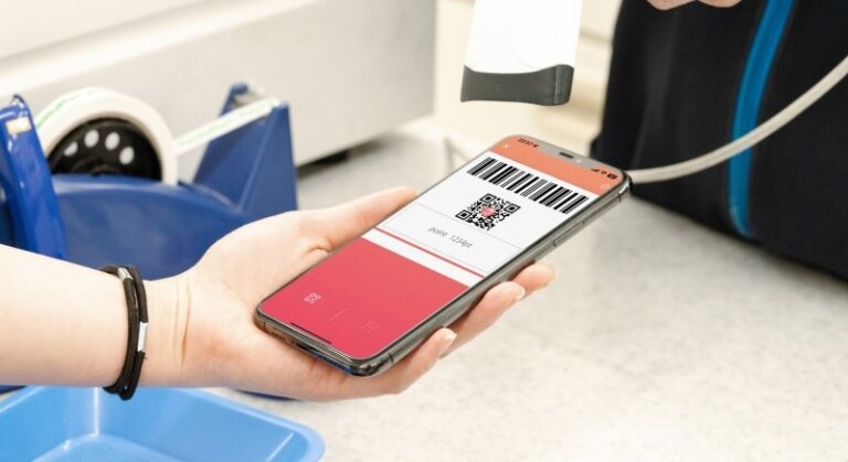 PayPay決済端末のメリットと注意点|「あんしんプラス」で決済手数料を抑えた導入